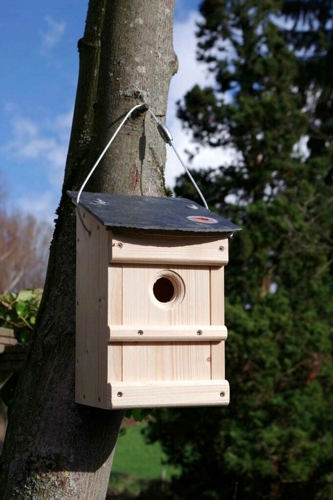 Crea Oggi Una Mangiatoia Per Uccelli Fatta In Casa!