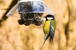 Mangiatoie per uccelli da prodotti riciclati
